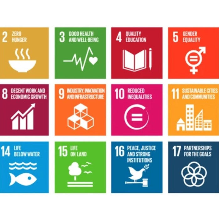 Die 2030 Sustainable Development Agenda- ein Call to Action!
