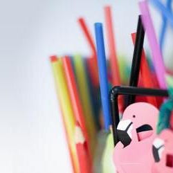 EU Plastikverbot 2021 für Einweggeschirr wie Plastikhalme, Plastiklöffel, Teller uvm.