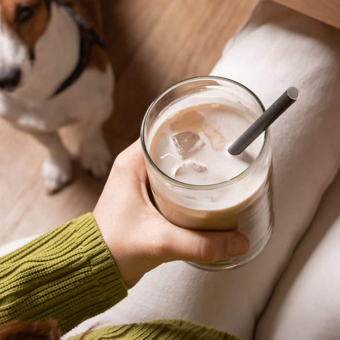 Papier-Strohhalme, schwarz, Ø 0,8 x 20 cm