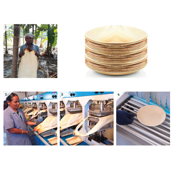 Palmblatt Schale oval 20 x 13 cm