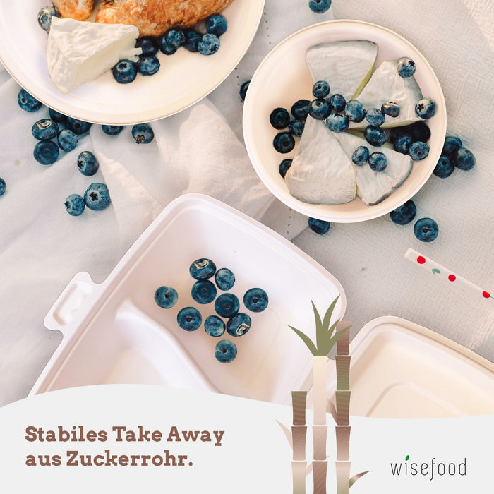 Bagasse Teller 3 Fach - 23cm (rund, weiß) - Wiseware