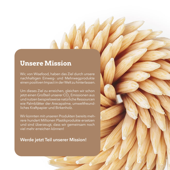 Zahnstocher aus Birkenholz - 6.5cm - 1000 Stück